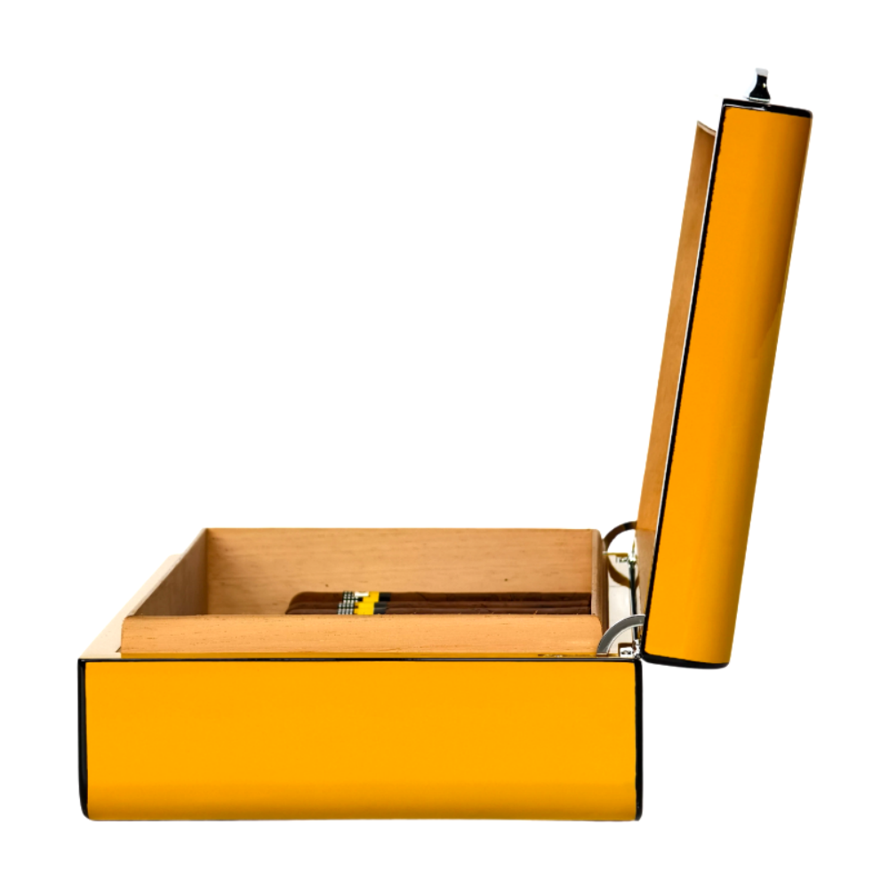 WD111
